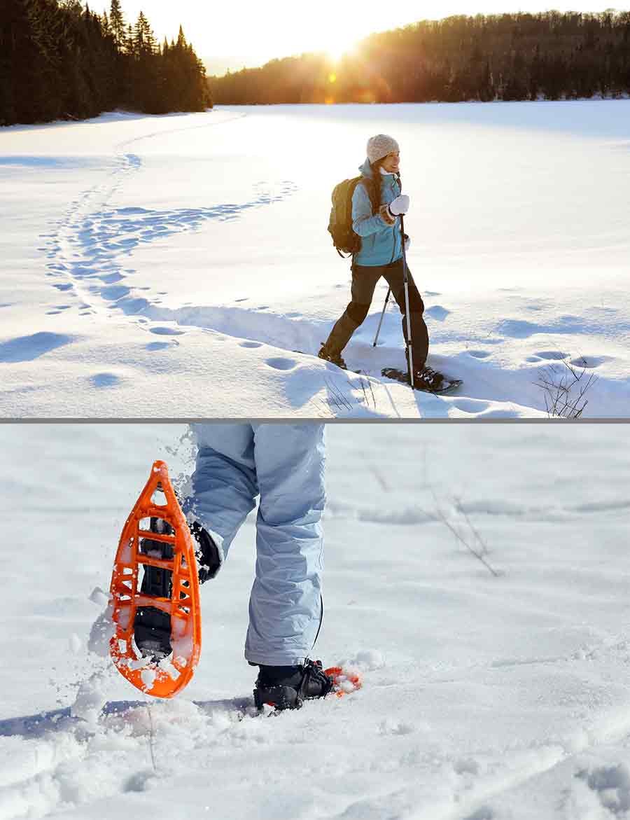 Snowshoe Adventures