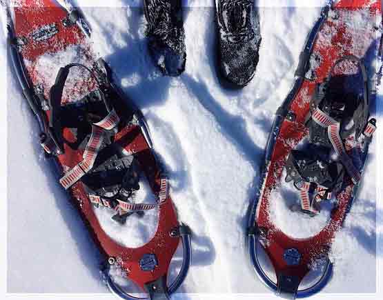 Snowshoe Adventures